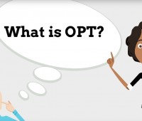 NHỮNG ĐIỀU CƠ BẢN CẦN BIẾT VỀ OPT
